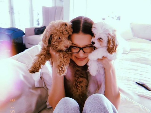 3/6
