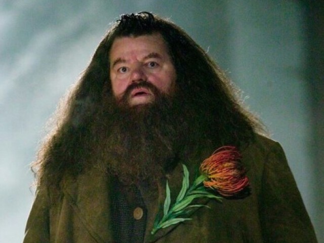 Rúbeo Hagrid