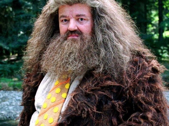 Hagrid