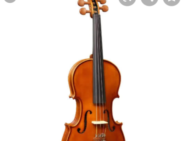 Violino