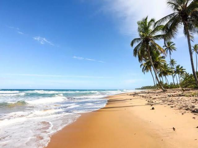 Perto de uma praia.