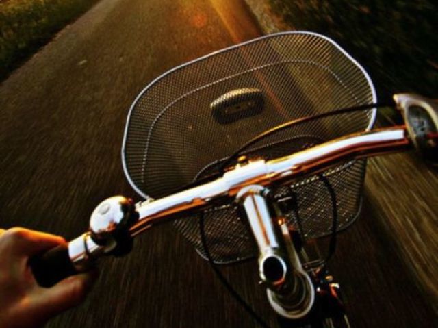 🚲