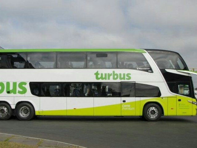 Ônibus