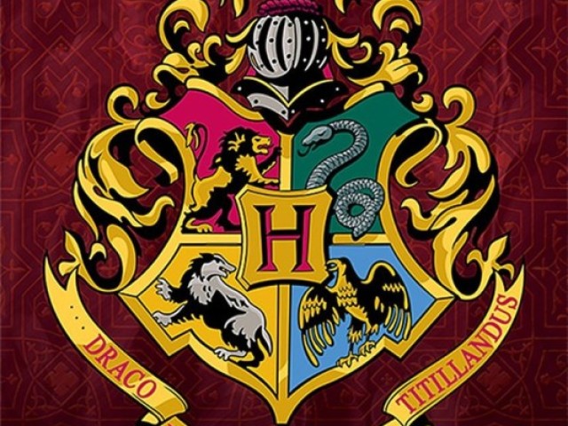 Qual seria sua casa em Hogwarts?