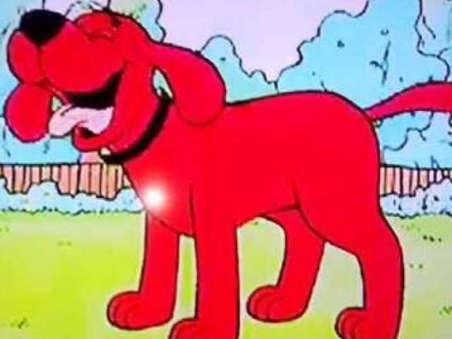 Cachorro