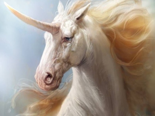 O unicórnio