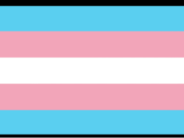 Bandeira trans