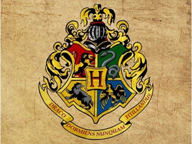 Qual seria sua casa em Hogwarts?