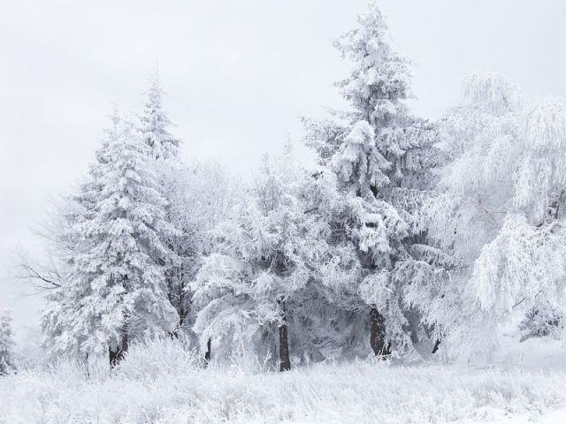 WINTER