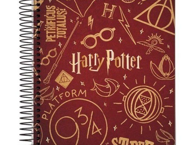 Caderno de Harry Potter