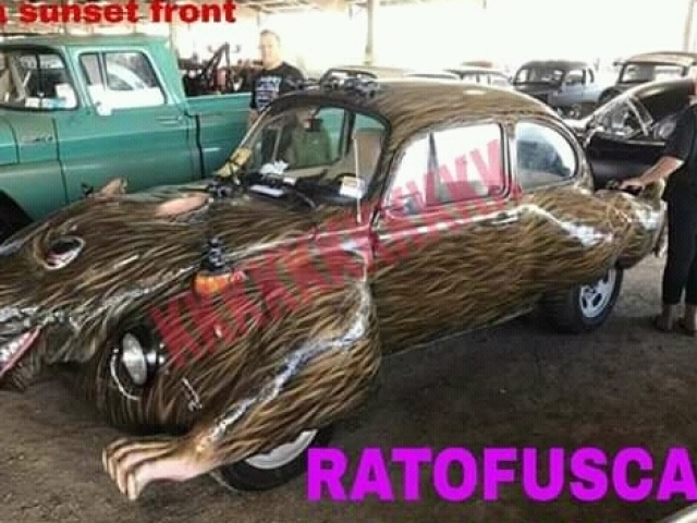 Ratofusca