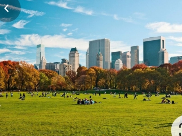 Central Park, caminhar e conversar