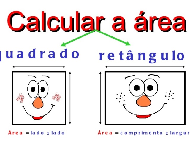 169 centímetros quadrados