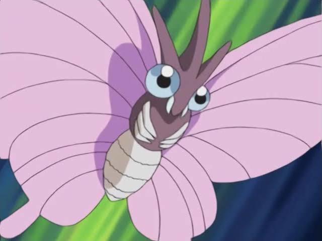 Venomoth