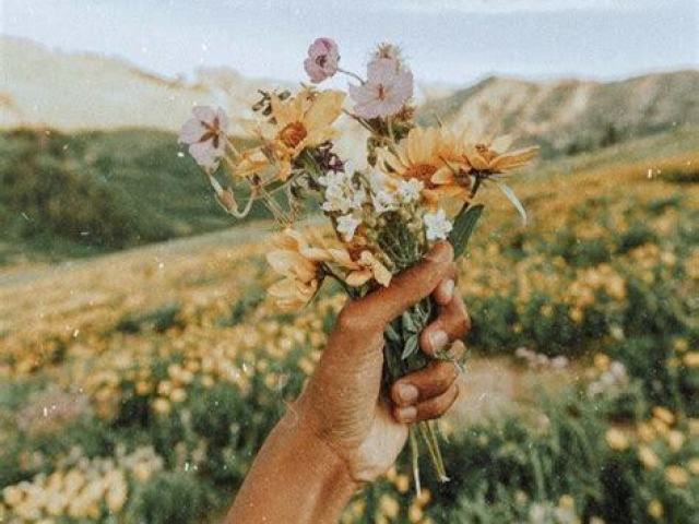 PRIMAVERA