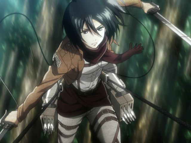 Mikasa