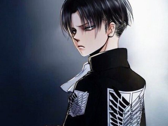 Levi