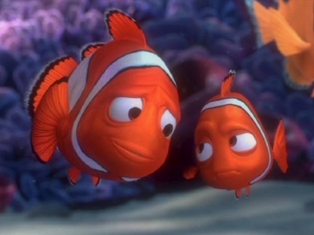 Procurando nemo