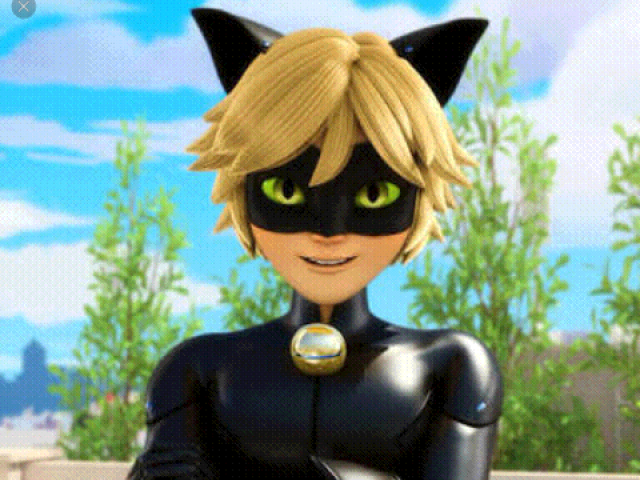 Cat noir