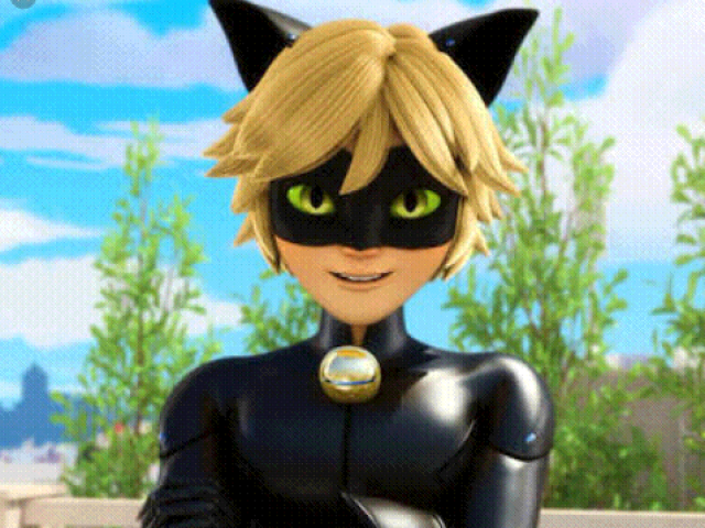 Cat noir