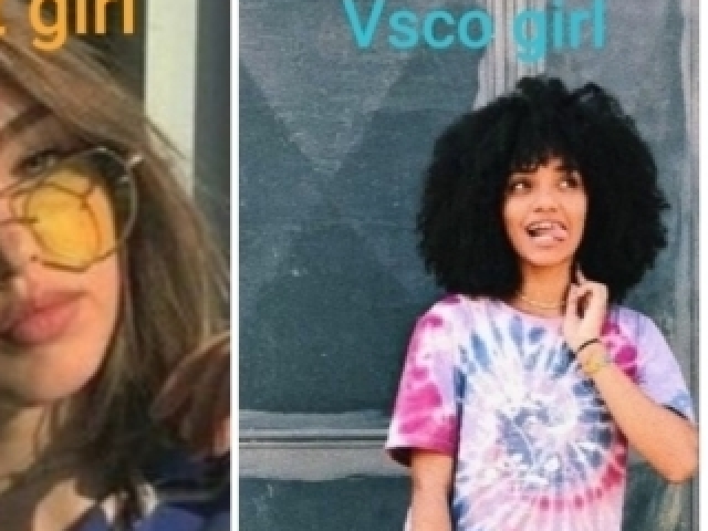 Vsco girl