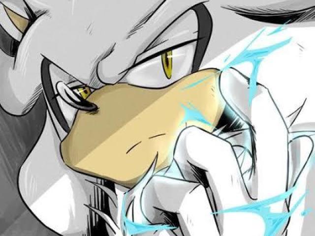 Silver o Ouriço