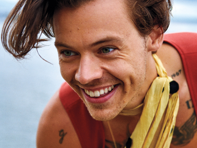 Você realmente conhece Harry Styles?