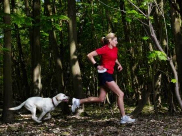 Não achei uma imagem de um cachorro correndo atras de uma mulher