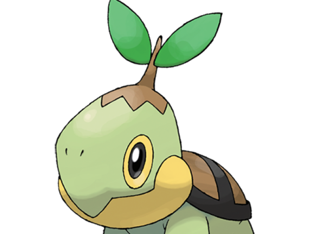 Turtwig