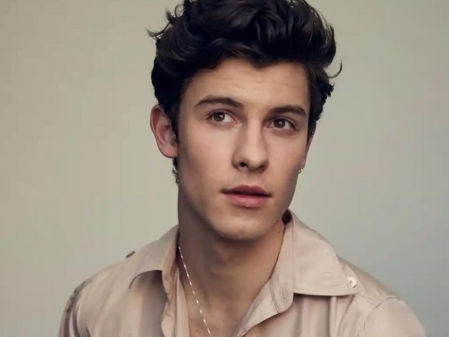 Shaw mendes