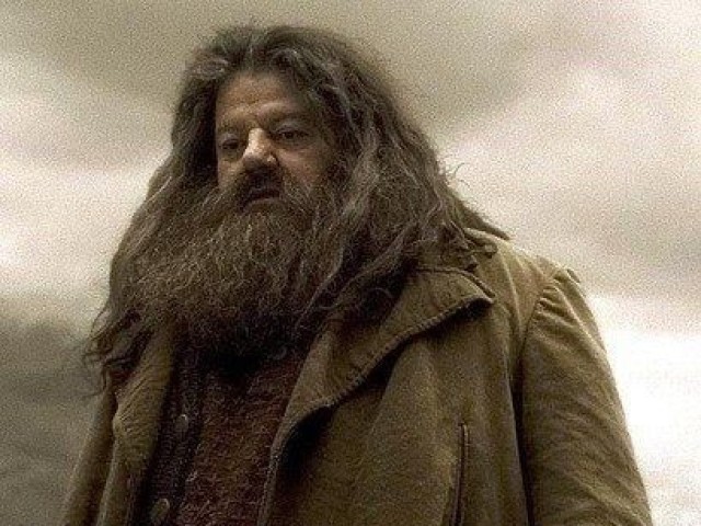 Rubeus Hagrid