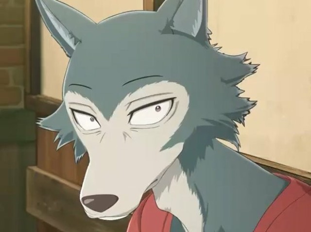 Legosi/Legoshi, eu acho que ter Legoshi ao meu lado me daria segurança, além do mais, poucas pessoas se interessaram por ele como par, ele parece bem acolhedor♡(no anime tá kk)