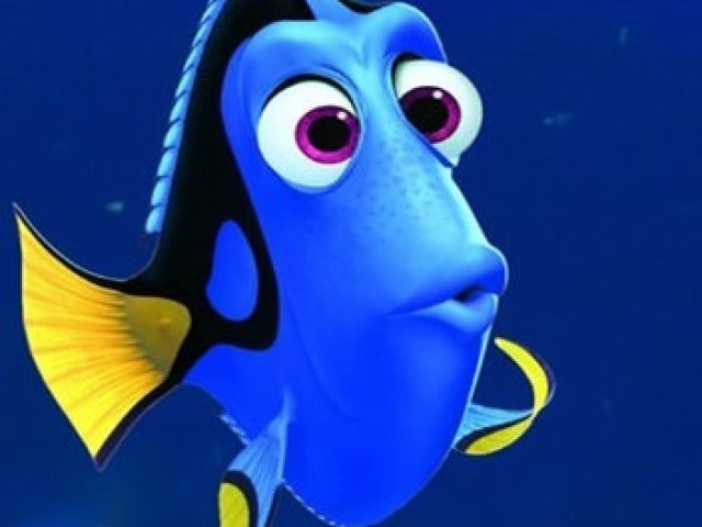 DORY