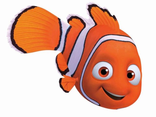 NEMO