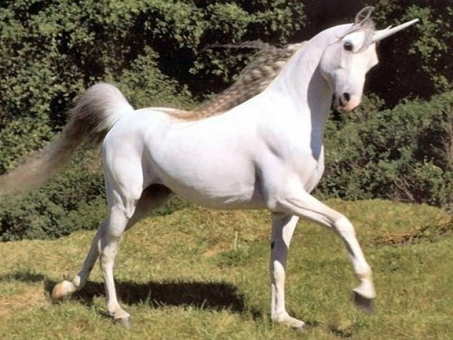 UNICORNIO