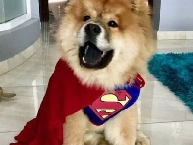 Super herói