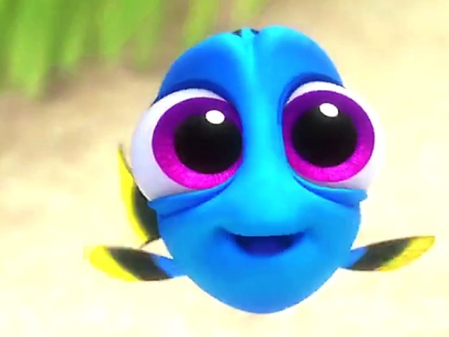 Dory.