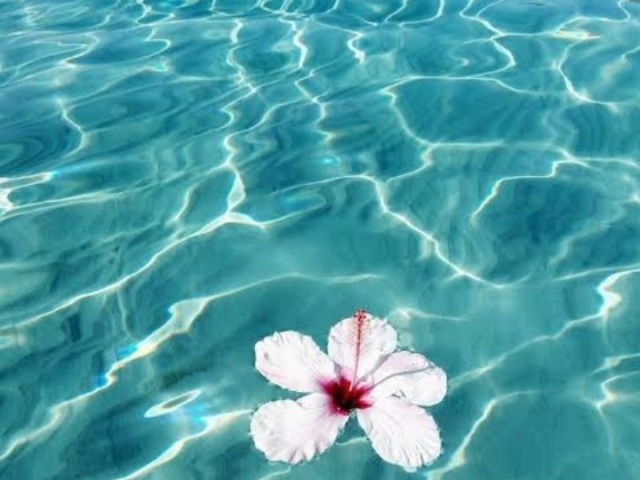 Essa!!!
Azul piscina é encantador