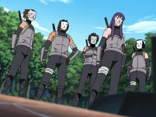 Anbu profissional...