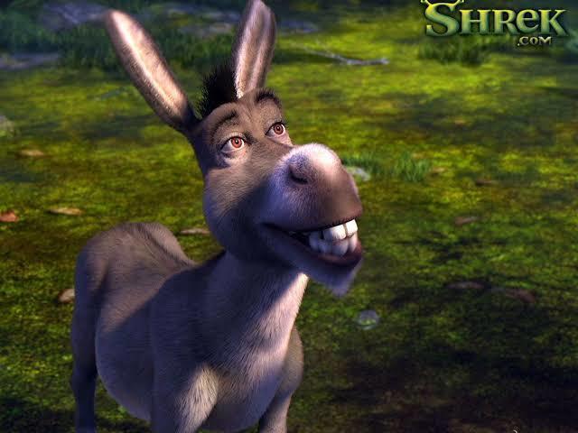 Burro (sherek)