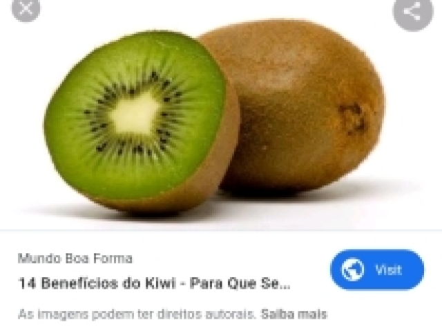 🥝 kiwi normal