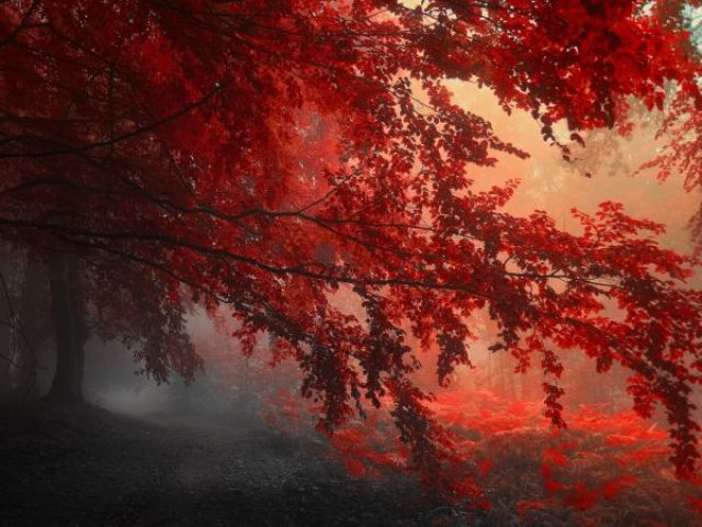 Vermelho
