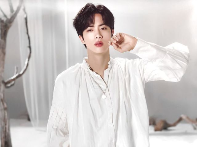 Seokjin(jin)