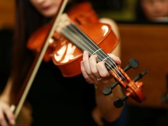 Violino