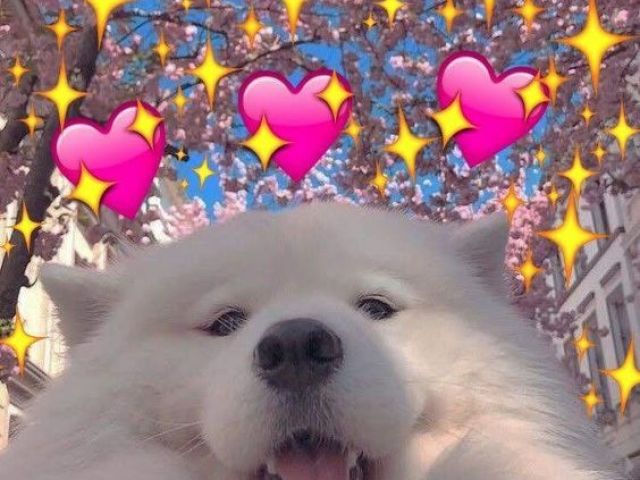 "Só sei que independente de suas mudanças, continuarei a amá-lo"
Sinônimo de amor é amaaar...