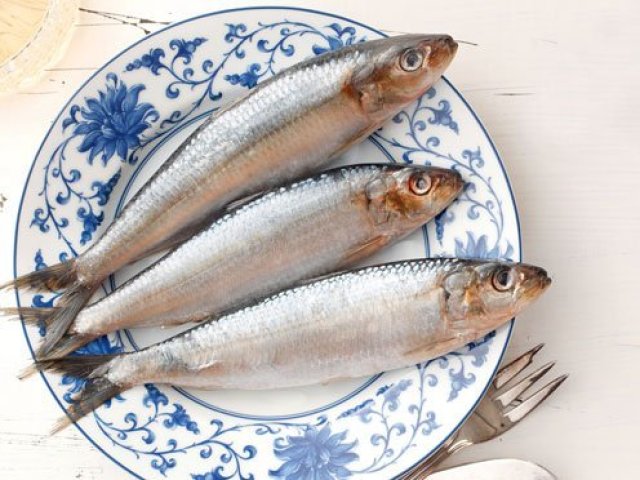 sardinha