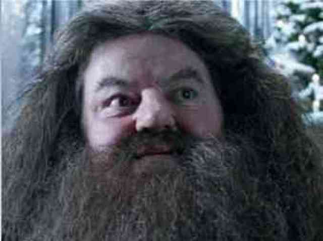 hagrid