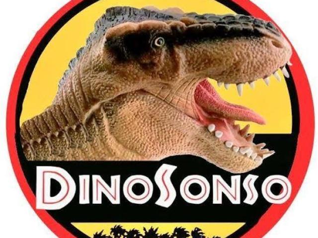 Dino sonso