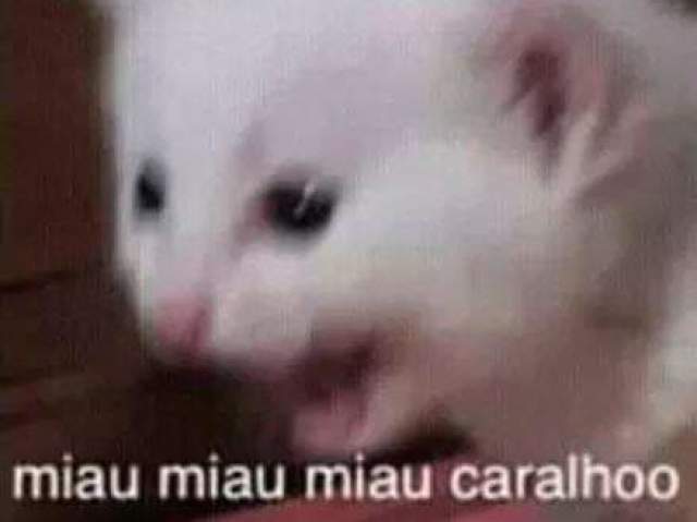 miau miau miau caralho