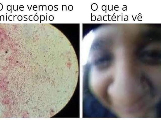 Biomedicina